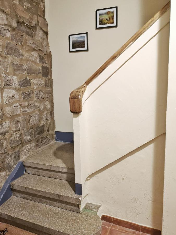 Apartmán Serralta 16 Tudela Exteriér fotografie